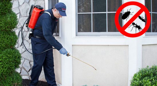Çorum Tahtakurusu İlaçlama böcek ilaçlama ve haşere kontrolü — ilaclama-tr.com